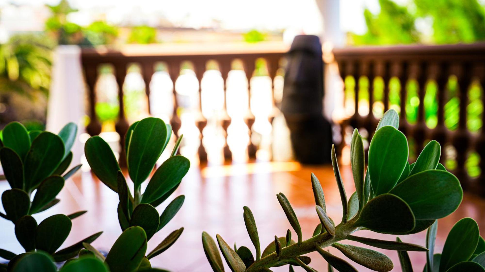 Villa Azul Fuerteventura Villaverde  外观 照片