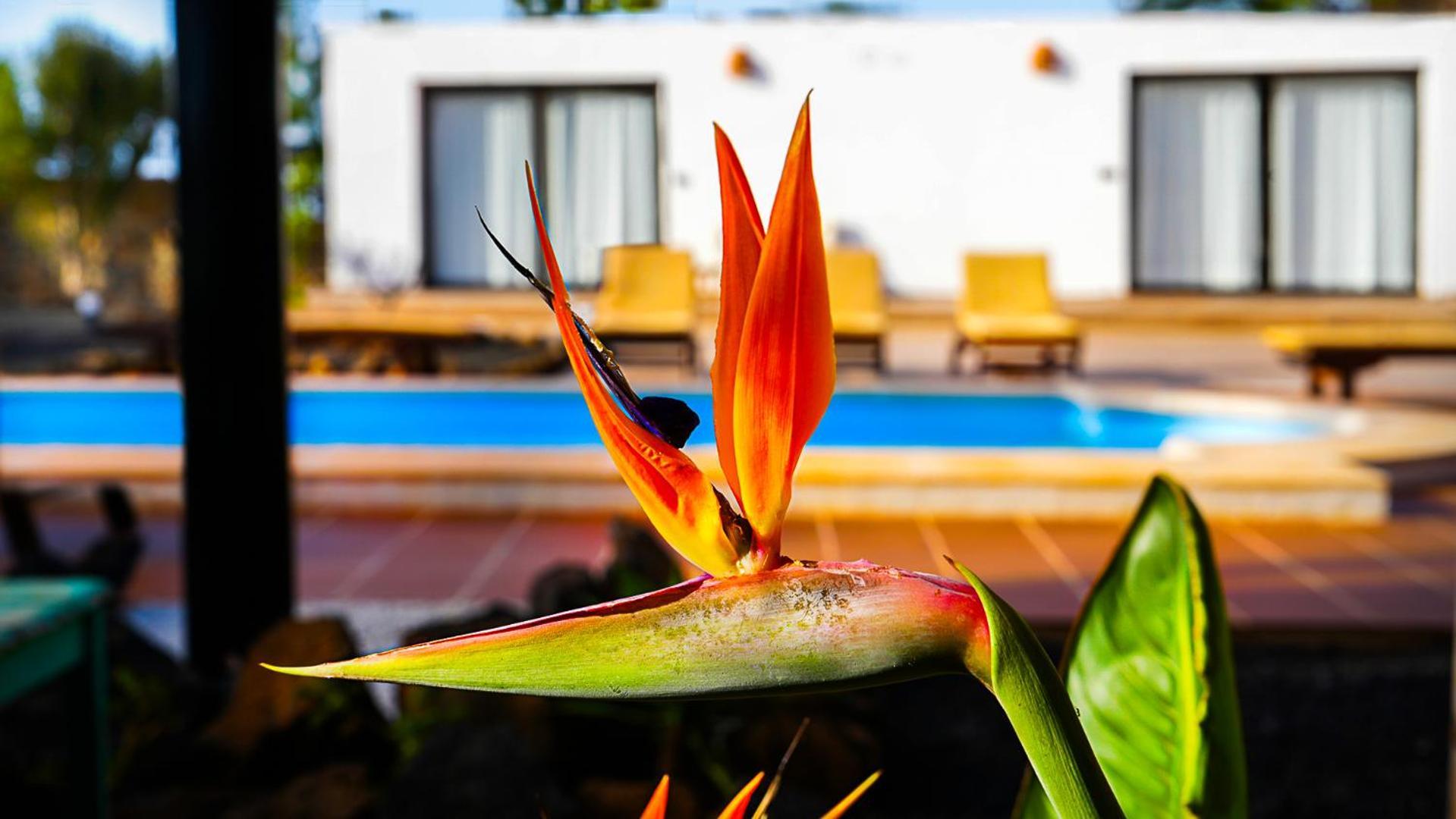 Villa Azul Fuerteventura Villaverde  外观 照片